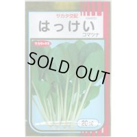 送料無料　[小松菜]　はっけい　20ml　（株）サカタのタネ