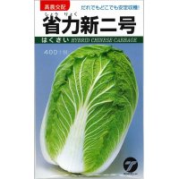 送料無料　[白菜]　省力新二号　小袋　(株)タカヤマシード