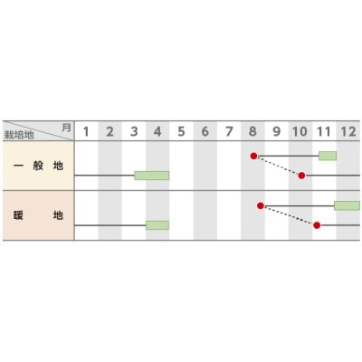 画像2: 送料無料　[葉物]　ハナナ　花娘　20ml　（株）サカタのタネ