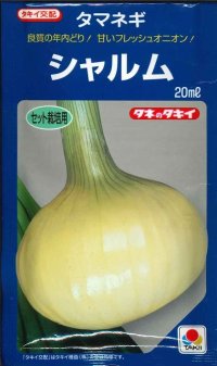 送料無料　[たまねぎ]　シャルム　20ml　タキイ種苗(株)