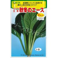 送料無料 [小松菜]　秋冬のエース　10ml　トキタ種苗（株）