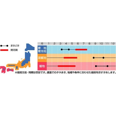 画像3: 送料無料　花の種　景観用　ネモフィラ　インシグニスブルー　約3平米用　(株)サカタのタネ　実咲350（026178）