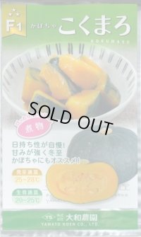 送料無料　[かぼちゃ]　こくまろ　10粒　大和農園