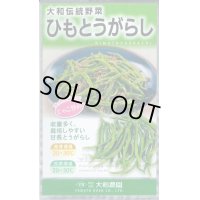 送料無料　[とうがらし]　ひもとうがらし1ml　大和農園