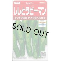 送料無料　[ピーマン]　ししピー　約20粒　(株)サカタのタネ　実咲500（002906）