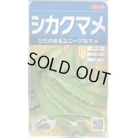 送料無料　[豆類]　シカクマメ　約20粒　(株)サカタのタネ　実咲350（003127）