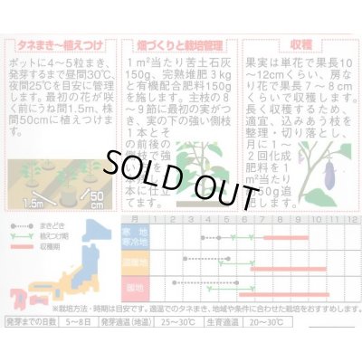 画像2: 送料無料　[なす]　ごちそうなす　500粒　(株)サカタのタネ