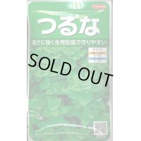 送料無料　[葉物]　つるな　約85粒　(株)サカタのタネ　実咲250（002975）