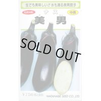 送料無料　[なす]　美男　0.4ml(およそ60粒)　(株)渡辺採種場