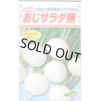 送料無料　[かぶ]　あじサラダ蕪　3.5ml　松永種苗(株)