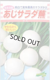 送料無料　[かぶ]　あじサラダ蕪　3.5ml　松永種苗(株)