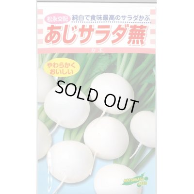 画像1: 送料無料　[かぶ]　あじサラダ蕪　3.5ml　松永種苗(株)