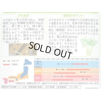 画像2: 送料無料　[ハーブの種]　フェンネル　約120粒　(株)サカタのタネ　実咲（003189）