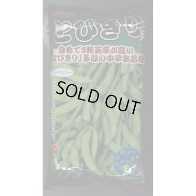 枝豆 とびきり 1ｌ サカタのタネ 野菜種 枝豆 グリーンロフトネモト直営