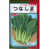 送料無料　[小松菜]　つなしま　20ml　（株）サカタのタネ