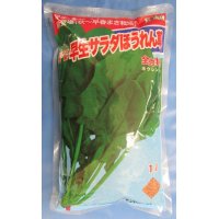 [ほうれんそう]　早生サラダ　1L　トキタ種苗（株）