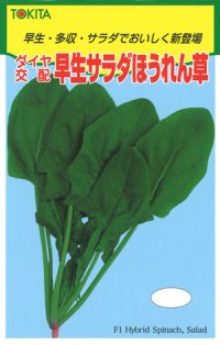 送料無料　[ほうれんそう]　早生サラダほうれんそう　1dl　トキタ種苗(株)