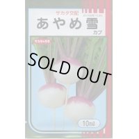 送料無料　[かぶ]　あやめ雪　10ml　(株)サカタのタネ