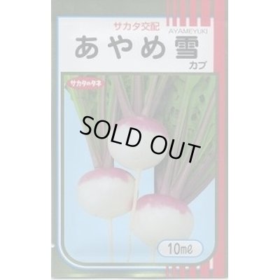 画像1: 送料無料　[かぶ]　あやめ雪　10ml　(株)サカタのタネ