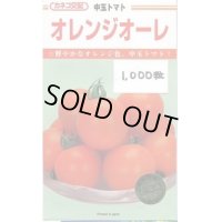 送料無料　[トマト/中玉トマト]　オレンジオーレ　1000粒　カネコ交配