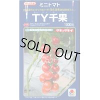 送料無料　[トマト/ミニトマト]　ＴＹ千果　ペレット2L1000粒　タキイ種苗(株)