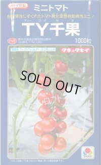 送料無料　[トマト/ミニトマト]　ＴＹ千果　ペレット2L1000粒　タキイ種苗(株)