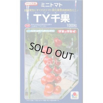 画像1: 送料無料　[トマト/ミニトマト]　ＴＹ千果　ペレット2L1000粒　タキイ種苗(株)