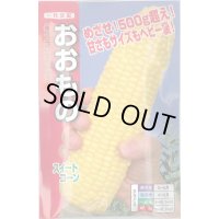 送料無料　[とうもろこし]　おおもの　200粒　ナント種苗(株)