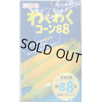 [とうもろこし]　わくわくコーン88　2000粒　カネコ交配