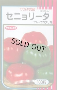 送料無料　[ピーマン]　フルーツパプリカ　セニョリータ　100粒　各色　(株)サカタのタネ