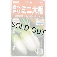 送料無料　[大根]　ミニダイコン　ころっ娘　約150粒　(株)サカタのタネ　実咲450（003073）