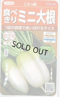 送料無料　[大根]　ミニダイコン　ころっ娘　約150粒　(株)サカタのタネ　実咲450（003073）