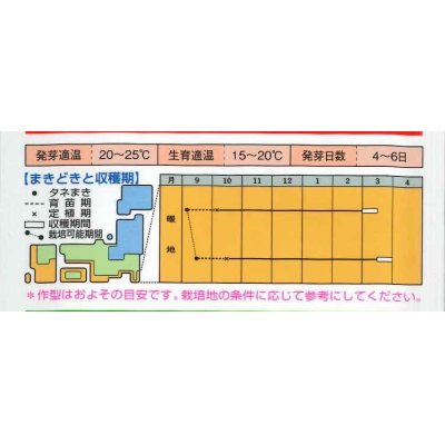 画像4: 送料無料　[キャベツ]　送料無料　春のかほりSP　ペレット5000粒　タキイ種苗(株)