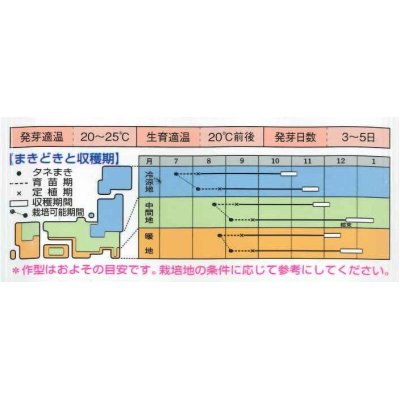 画像2: 送料無料　[白菜]　黄ごころ80　20ml　タキイ種苗(株)