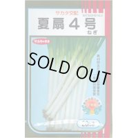 送料無料　[ねぎ]　夏扇4号　20ml　(裸種子)　(株)サカタのタネ