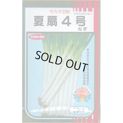 画像1: 送料無料　[ねぎ]　夏扇4号　20ml　(裸種子)　(株)サカタのタネ