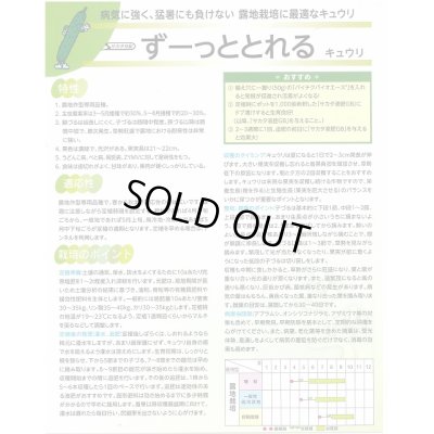 画像2: 送料無料　[キュウリ]　ずーっととれる　350粒　(株)サカタのタネ