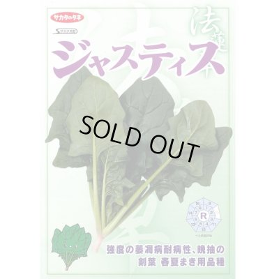 画像3: 送料無料　[ほうれんそう]　ジャスティス　約900粒　(株)サカタのタネ　実咲350（003014）