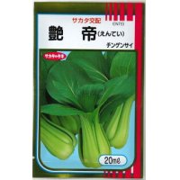 送料無料 [中国野菜]　チンゲンサイ　艶帝　20ｍｌ　サカタ交配　