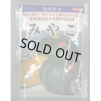 送料無料　[かぼちゃ]　みやこ　100粒　(株)サカタのタネ