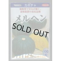 送料無料　[かぼちゃ]　メルヘン　100粒　(株)サカタのタネ