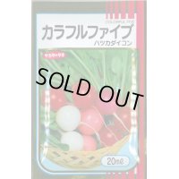 送料無料　[大根]　はつかだいこん　カラフルファイブ　20ml　(株)サカタのタネ