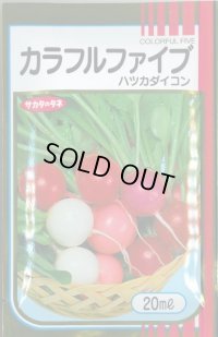 送料無料　[大根]　はつかだいこん　カラフルファイブ　20ml　(株)サカタのタネ