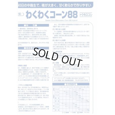 画像3: 送料無料　[とうもろこし]　わくわくコーン88　100粒　カネコ交配