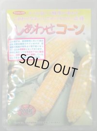 [とうもろこし]　しあわせコーン　2000粒(2024年10%増量)(株)サカタのタネ