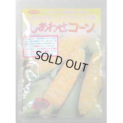 画像1: [とうもろこし]　しあわせコーン　2000粒(2024年10%増量)(株)サカタのタネ