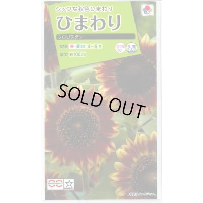 画像1: 送料無料　花の種　ひまわり　フロリスタン　小袋　タキイ種苗(株)