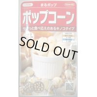 送料無料　[とうもろこし]　まるポップ　約65粒　(株)サカタのタネ　実咲450（002893）