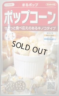 送料無料　[とうもろこし]　まるポップ　約65粒　(株)サカタのタネ　実咲450（002893）