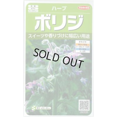 画像1: 送料無料　[ハーブの種]　ボリジ　約45粒　(株)サカタのタネ　実咲（003191）